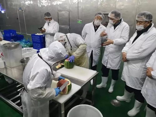 中衛(wèi)硒砂瓜產(chǎn)業(yè)考察團參訪四季青寧夏保鮮技術(shù)研究院上海創(chuàng)新樣板工廠