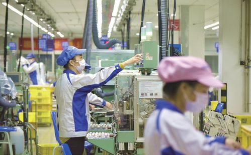 江西省贛州市科技創(chuàng)新服務(wù)中心領(lǐng)導(dǎo)一行蒞臨億融創(chuàng)服交流訪問(wèn)，深化信息技術(shù)咨詢服務(wù)合作